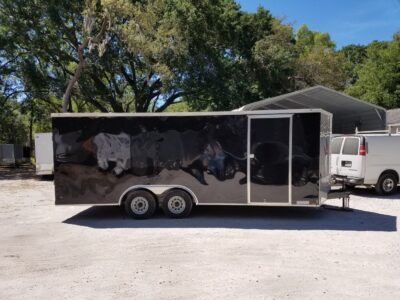 Diamond Cargo 8.5x20 TA Trailer - Black, Ramp, Side Door, 5K Axles, D-Rings - Image 3