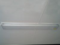 Fluorescent Light